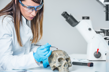 استخدام علوم طب الأسنان جزءًا من التحقيقات القانونية، يُستخدم طب الأسنان الشرعي غالبًا لتحديد هوية الجثة استنادًا إلى تسجيلات متعلقة بالأسنان