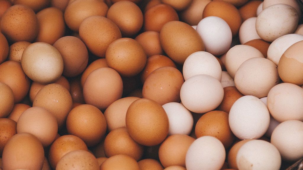 سحب 200 مليون بيضة من السوق بسبب السلمونيلا!