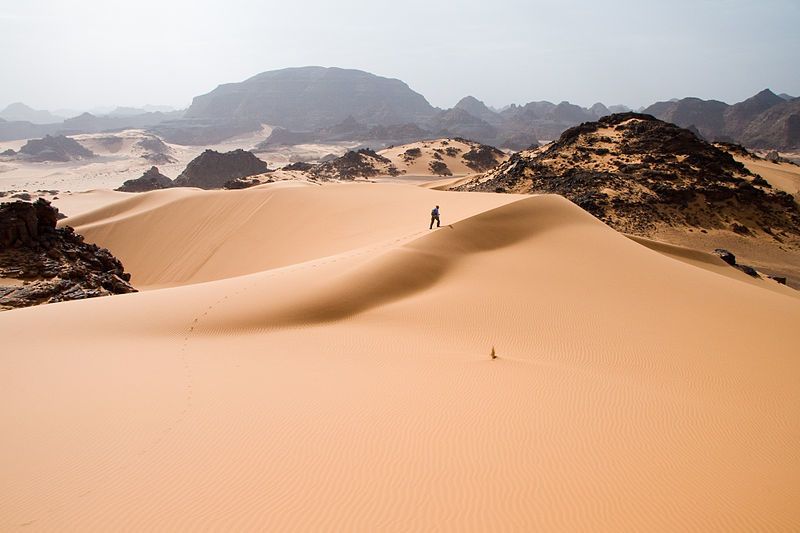 هل تسبب البشر بتشكل الصحراء الكبرى ؟