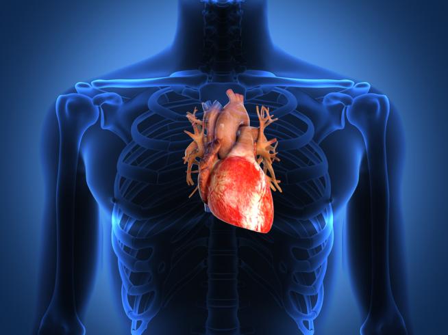 الصدمة القلبية: الأسباب والأعراض والتشخيص والعلاج