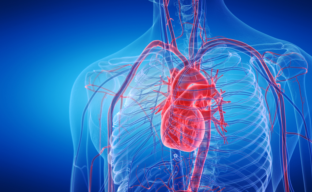 الداء القلبي الإكليلي غير الساد: الأسباب والأعراض والتشخيص والعلاج