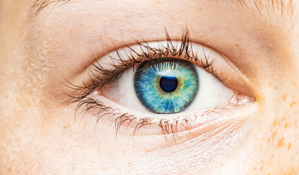 قد يؤثر لون العينين فعليًا في القدرة على القراءة