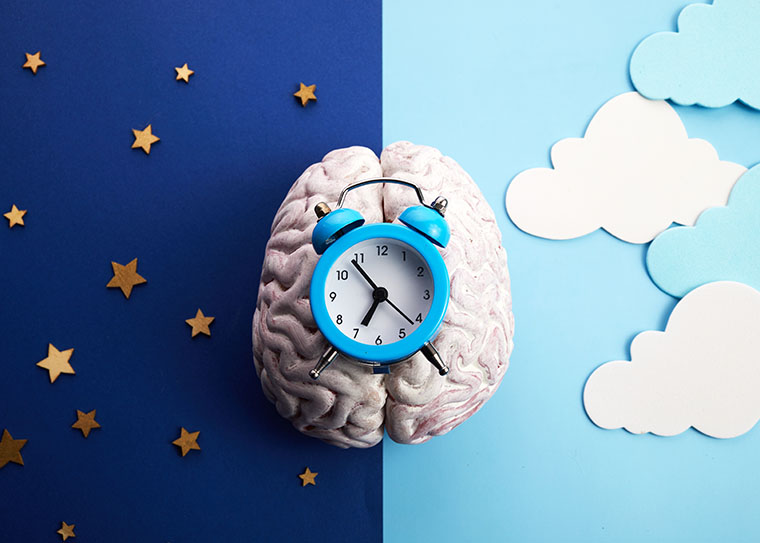 تشوه الوقت: كيف تملي الساعة الداخلية للدماغ سلوكياتنا؟