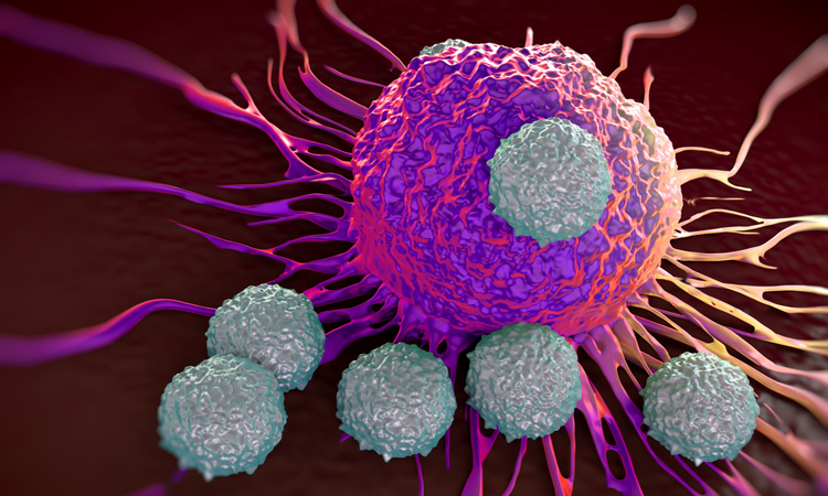 اكتشاف خلية بيضاء تائية جديدة تستطيع القضاء على السرطان