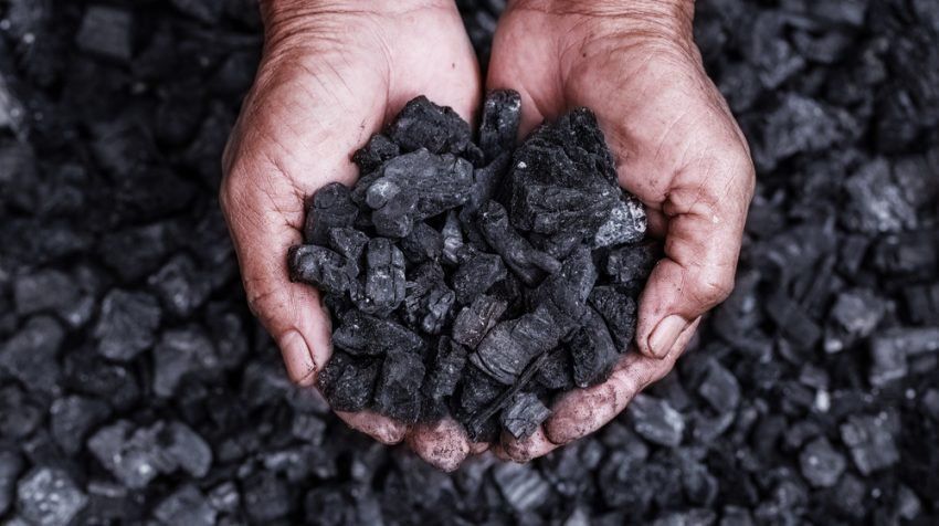 ما هو الفحم الحجري؟ كيف يتكون وما أنواع الفحم الحجري؟