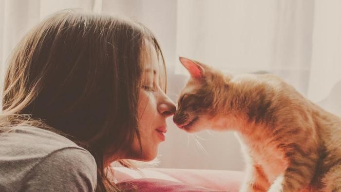 كيف يؤثر طفيلي داء القطط على سلوك الأشخاص المصابين ؟