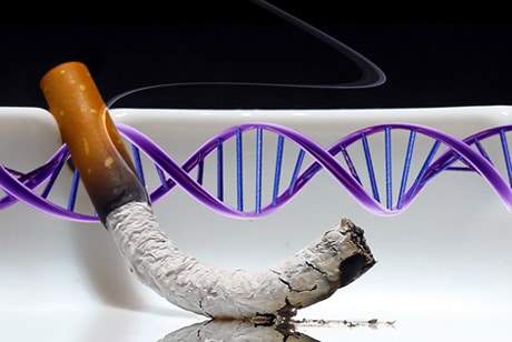 التدخين يتسبب في علامات دائمة على الحمض النووي