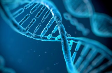 الجينات والعناصر الجينية الأنانية - كشف بحث جديد المزيد حول كيفية تطور سباق التسلح التطوري بين الجينات لتحييد الجينات السيئة - جينات دكسل