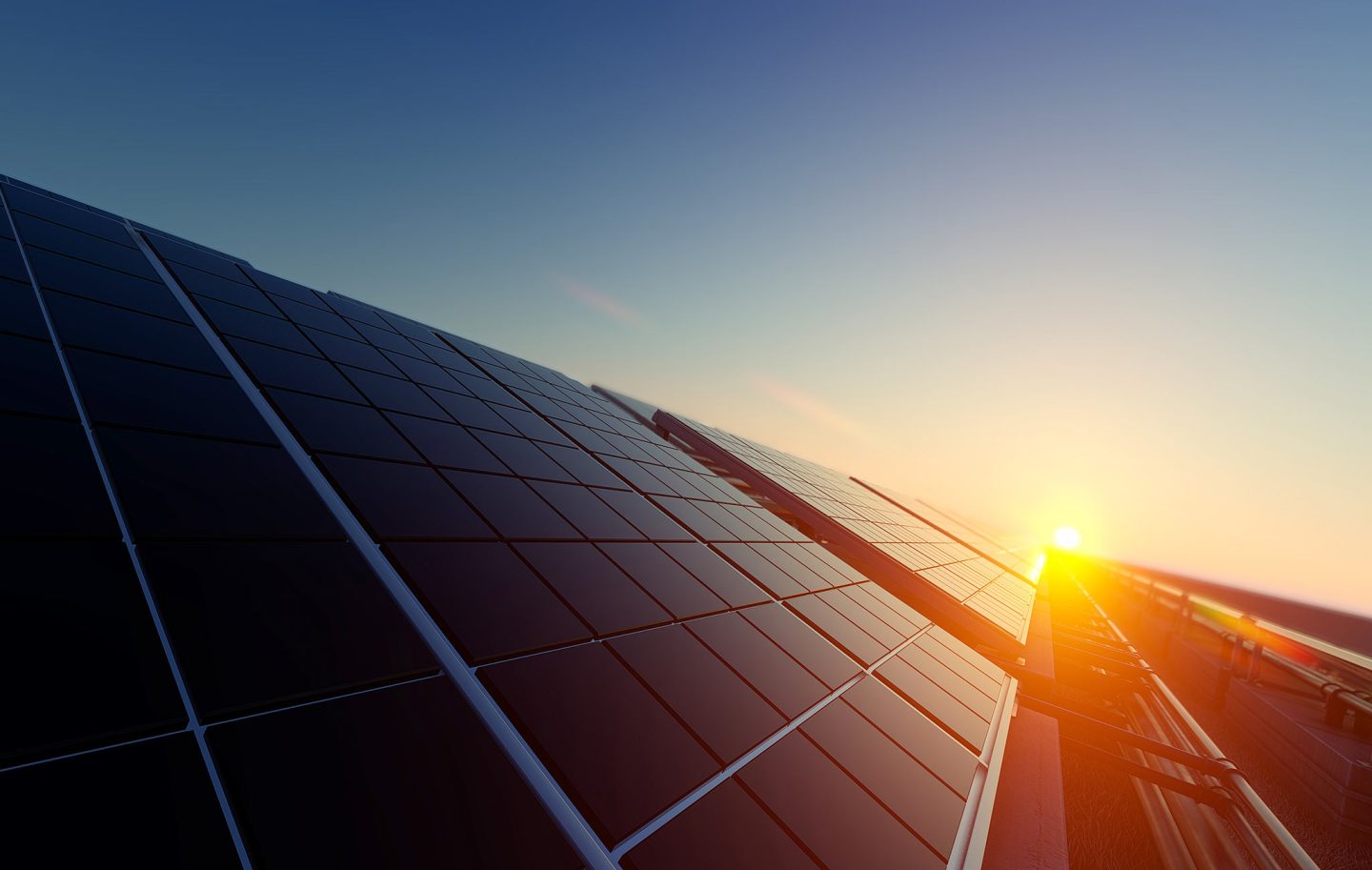 ميتوكوندريا تعمل بالطاقة الشمسية تطيل حياة الدودة وتحسن مستويات طاقتها!