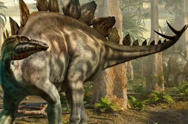 اكتشاف أول أثر للستيغوصور في اسكتلندا - الديناصورات التي استوطنت اسكتلندا منذ 170 مليون سنة - الأحفوريات - الآثار الحفرية