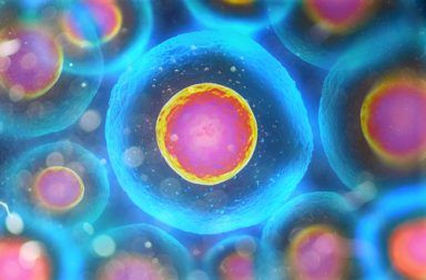 ما هي الخلايا ؟ تعريف الخلية الحية البكتيريا النواة الحمض النووي الأحماض النووية البلاستيدات الخضراء حقيقات النوى بدائيات النوى