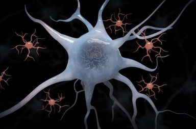 دراسة جديدة تبشر بعلاج مرض ألزهايمر الخلايا الدبقية الصغيرة التدهورَ العصبي الناجم عن الإصابة بمرض كـألزهايمر بروتين تاو في الأنسجة العصبية