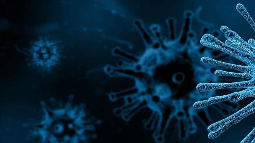 فيروس كورونا الجديد ربما كان موجودًا بين البشر لسنوات!