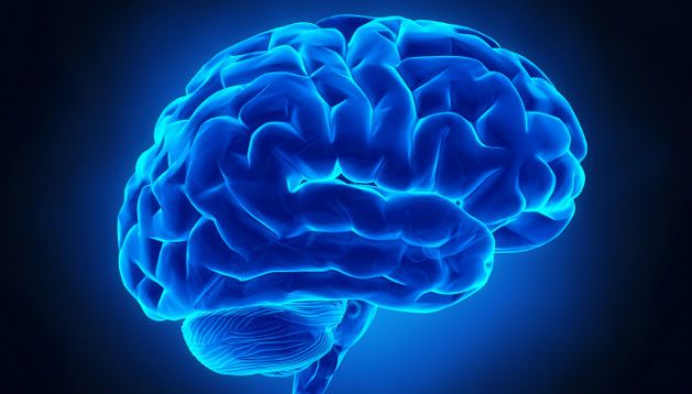 عشر حقائق مدهشة حول الدماغ البشري