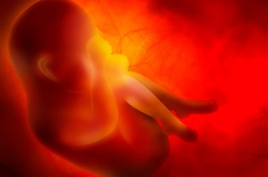 الرضوض في أثناء الحمل: الأسباب والأنواع - أنماط الإصابات الرضية والمضاعفات لدى الحوامل - مضاعفات العنف الأسري أو عنف الشريك في أثناء الحمل