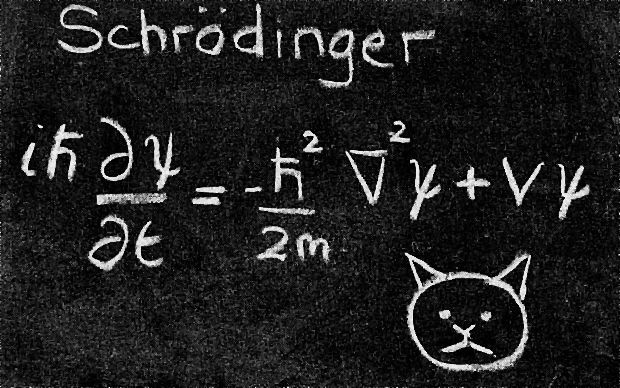 قطة شرودنغر هي من ستنقل الذاكرة من كائن لآخر