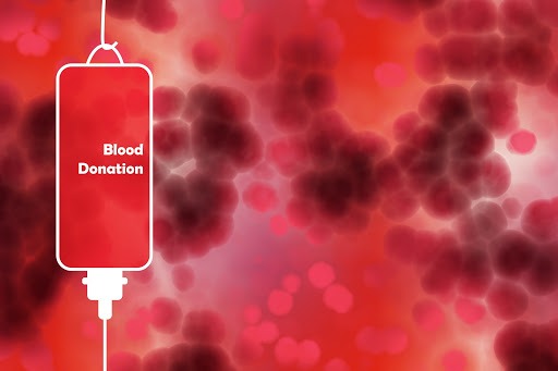 How often can you donate blood - donating blood helps to secure the amounts of blood needed for necessary cases - red blood cells, platelets and plasma