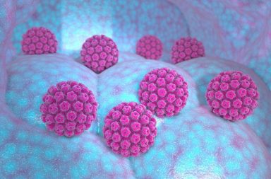 كيفية تأثير الفيروسيات في الخلايا الحية وفي صحة الشخص المصاب به - كيف تمكن الوقاية من بعض أنواع السرطانات - الفيروسات السرطانات