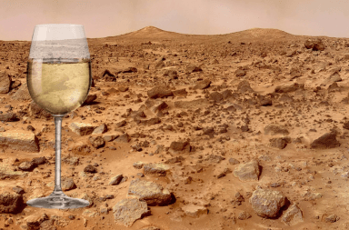 النبيذ المريخ العنب جورجيا الفضاء