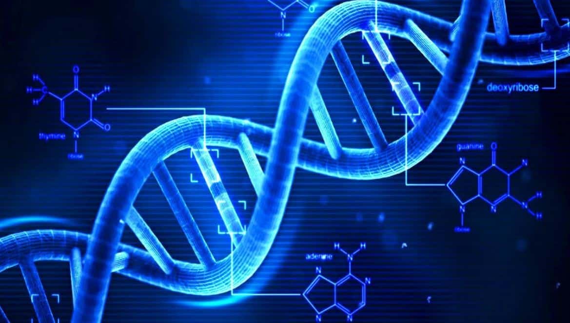 العلماء يعثرون على أدلة مرتبطة بالحمض النووي تظهر كيف يتطور البشر الآن